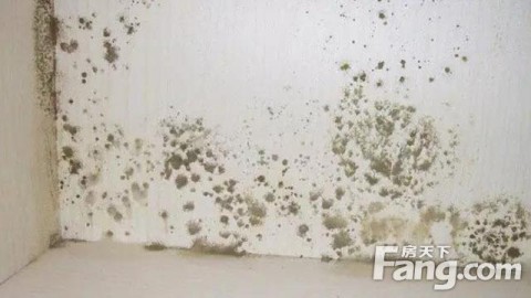 标题：墙面开裂、鼓包、发霉怎么办？一篇搞定老房墙面常见8大问题，省钱也能翻新
