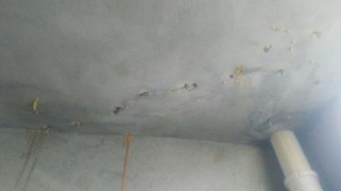 南京复古南洋风避坑｜花小钱出效果，7个细节越住越有电影氛围感