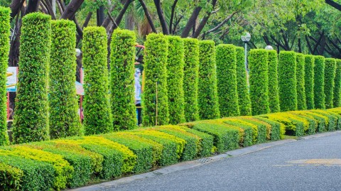 方案卡在钱和养护之间？2026立体绿化这样做少踩3个坑
